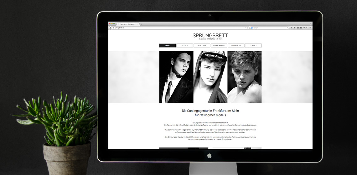 ENVY Project - Sprungbrett Website