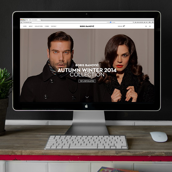 ENVY Project - Boris Banović Website