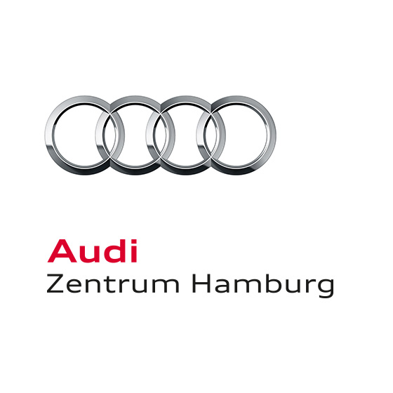 ENVY Project - Facebook Fanpages Audi Retail - Image 5